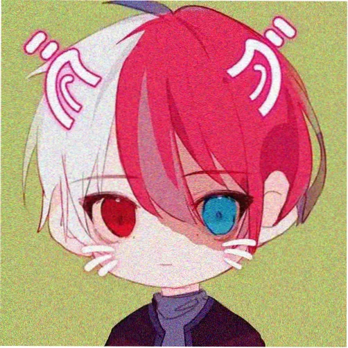 会员木棉头像
