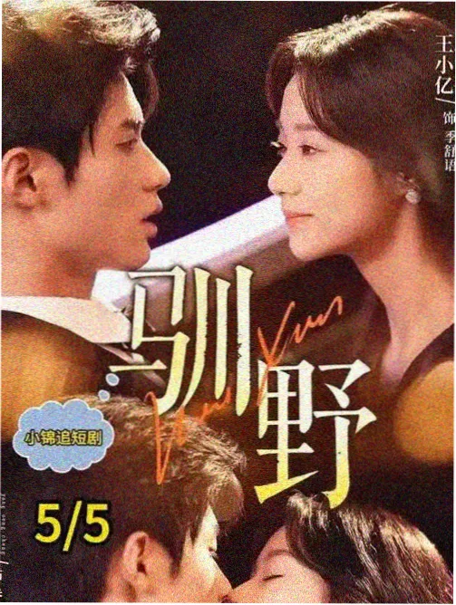纸鸢与风剧照